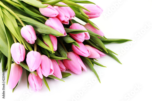 Fototapeta Naklejka Na Ścianę i Meble -  pink