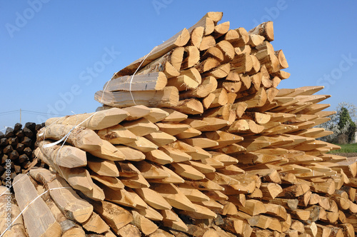 piquets de vigne