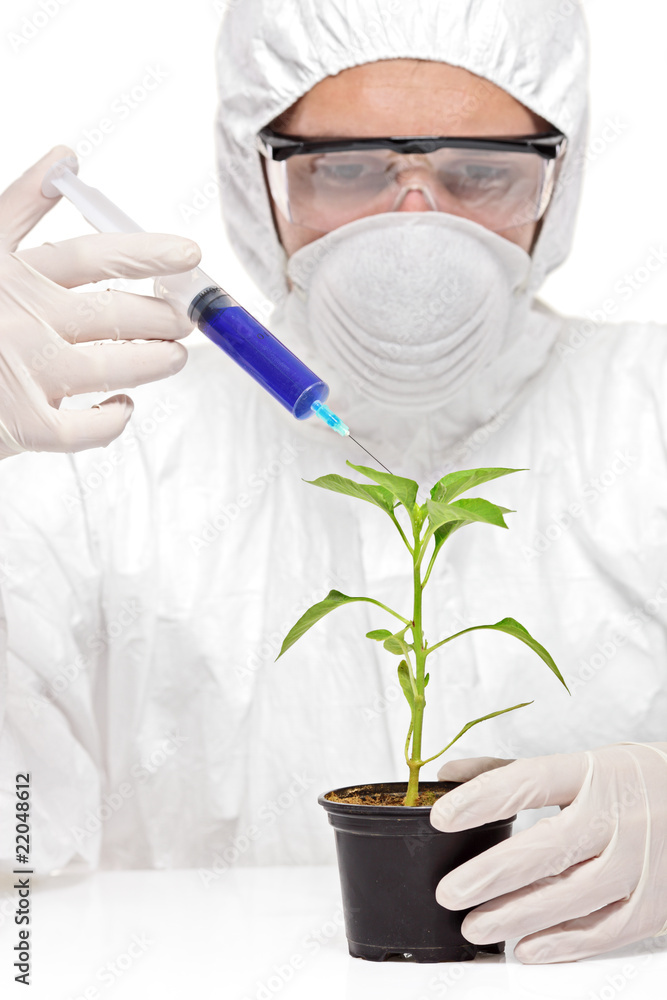 A man in uniform experiment with a peper plant A man in uniform experiment with a peper plant