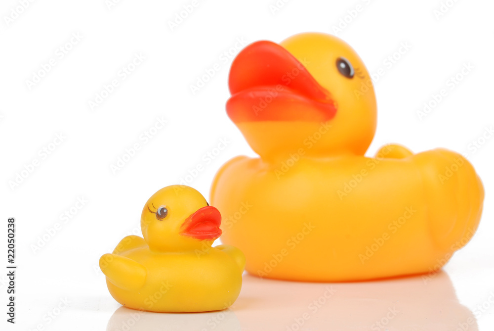 duckling duckling