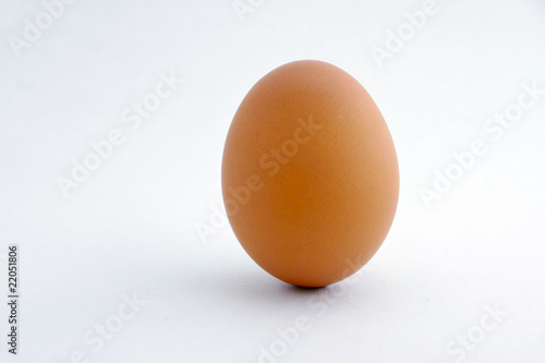 A real brown standing egg with white background.
