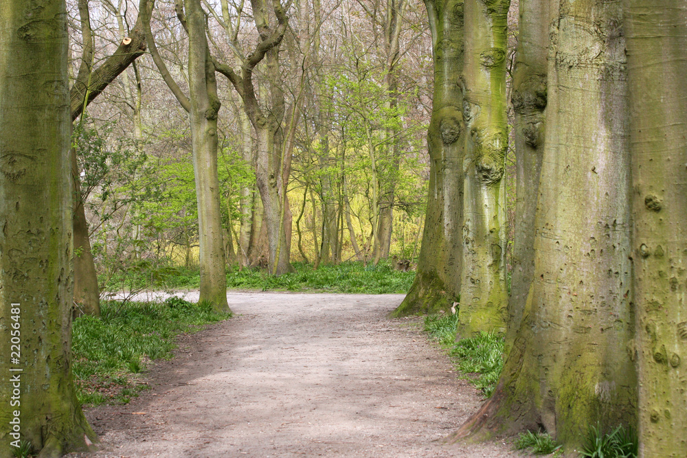 Fototapeta premium picturesque early spring park landscape