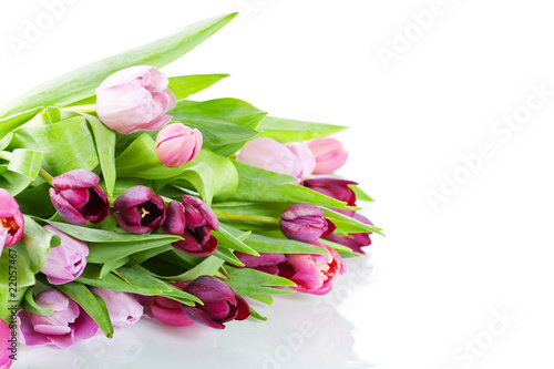 Fototapeta Naklejka Na Ścianę i Meble -  fresh tulips