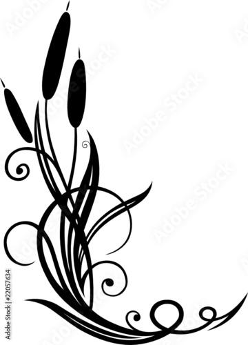 Schilf, Gräser, Schnörkel, filigran, floral, Ranke