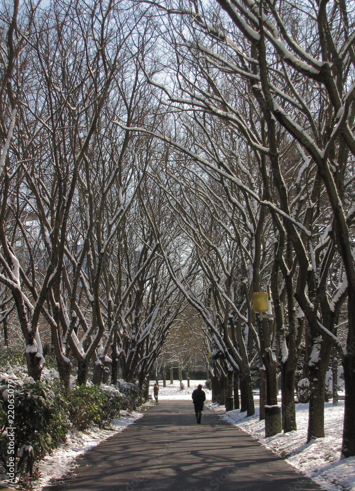 Jardin, Toulouse, Haute-Garonne ; Midi-Pyrénées Jardin, Toulouse, Haute-Garonne ; Midi-Pyrénées