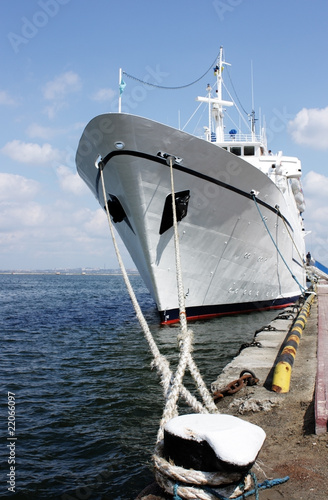 Obraz na plátne passenger ship anchored in port
