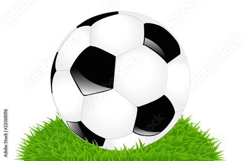 Classic Soccer Ball On Grass