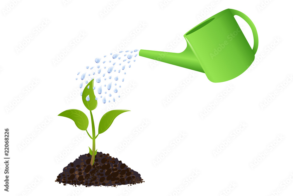 Green Young plant with watering can - obrazy, fototapety, plakaty 