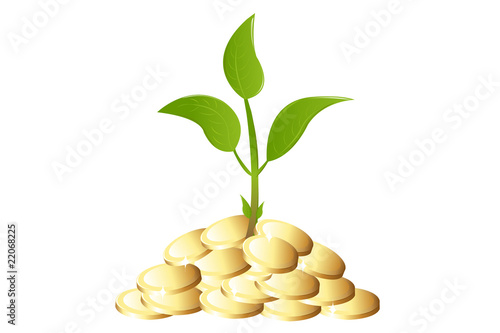 Green Young plant with money