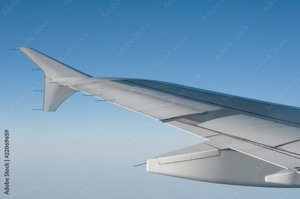 Wing Wing