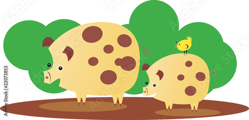 family of piglets