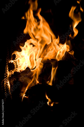 Flames of Fire © Mark Payne