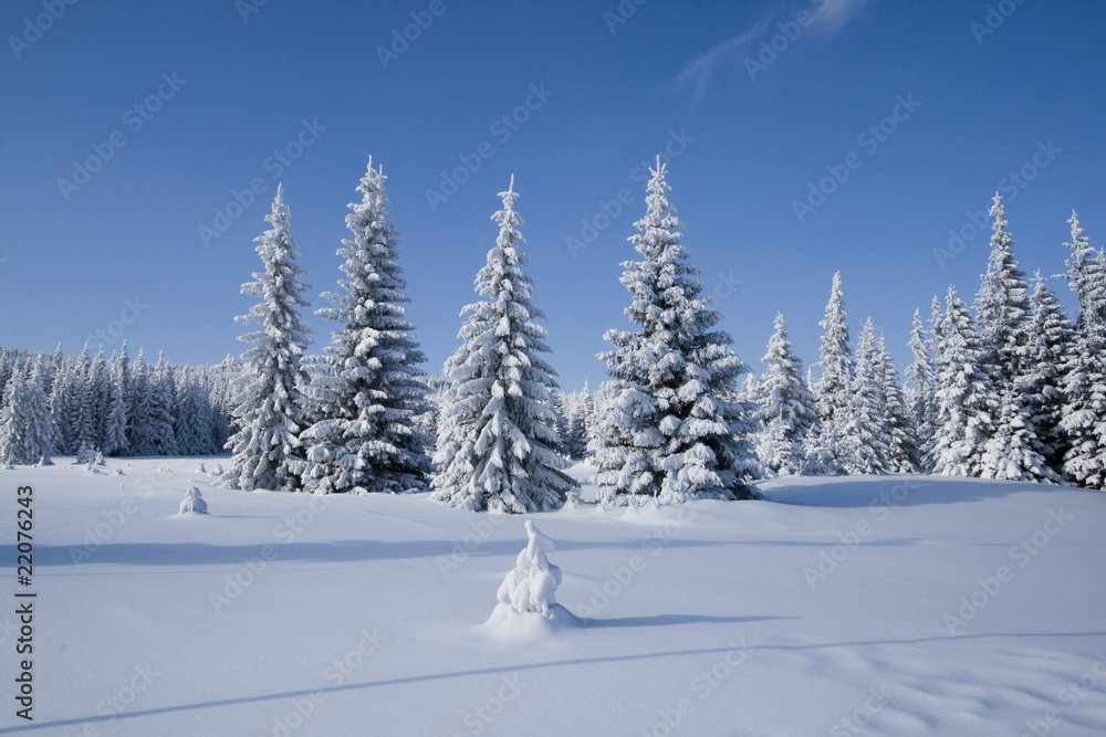 Winter Landscapes Winter Landscapes