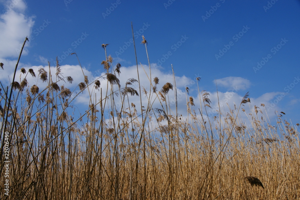 Obraz premium Am Ufer