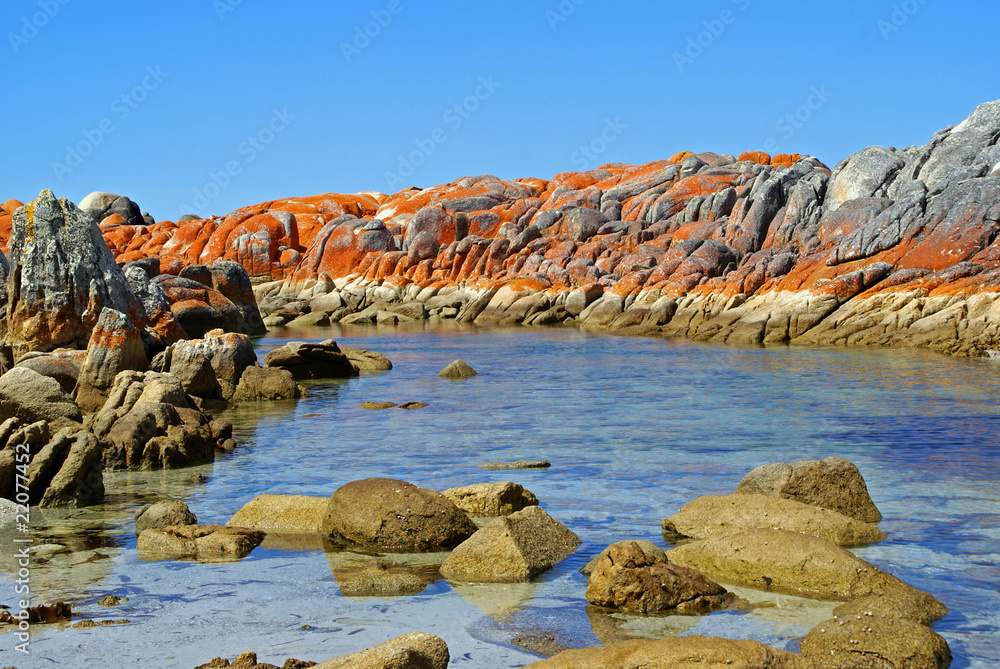 Obraz premium Tasmanien