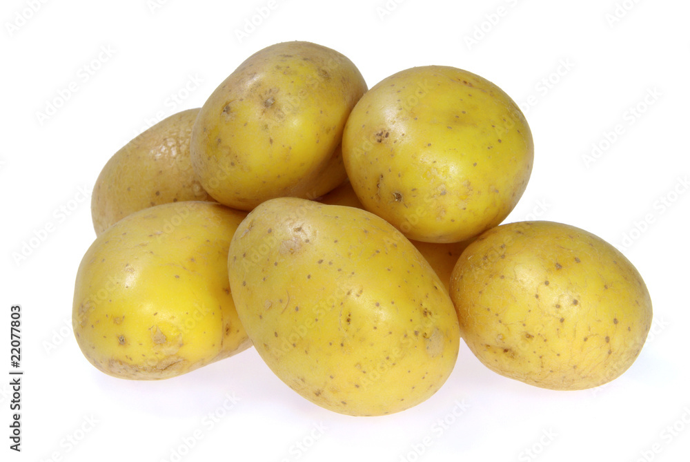 Kartoffel - potato 12