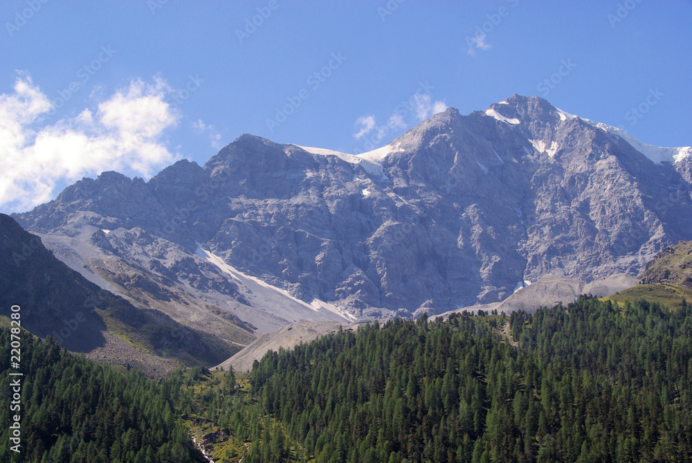 Ortler Massiv - Ortler Alps 21