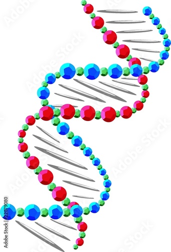 DNA