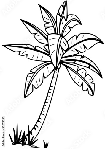 Palme