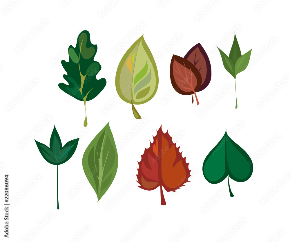 leaves leaves
