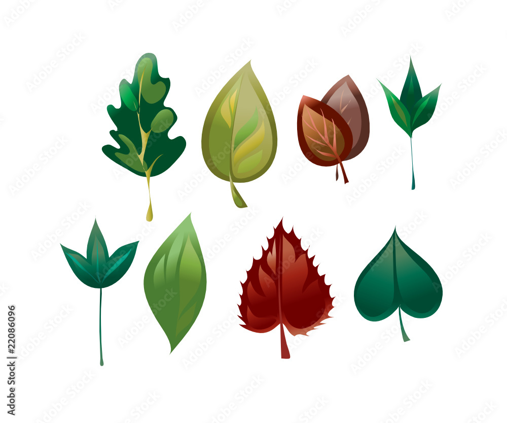 leaves leaves