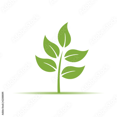 Nature concept