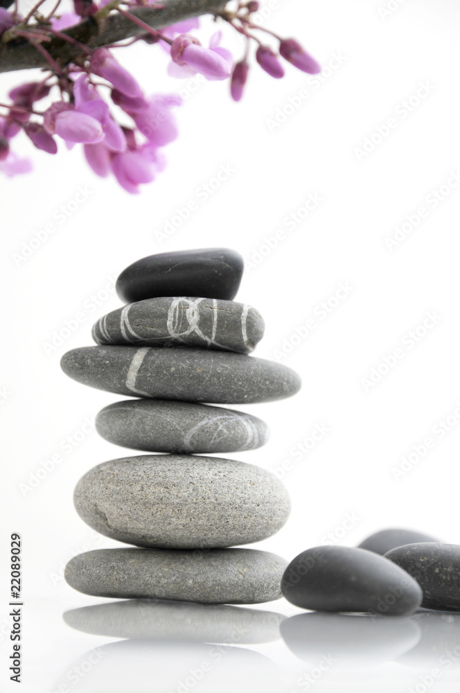 Zen de printemps Zen de printemps