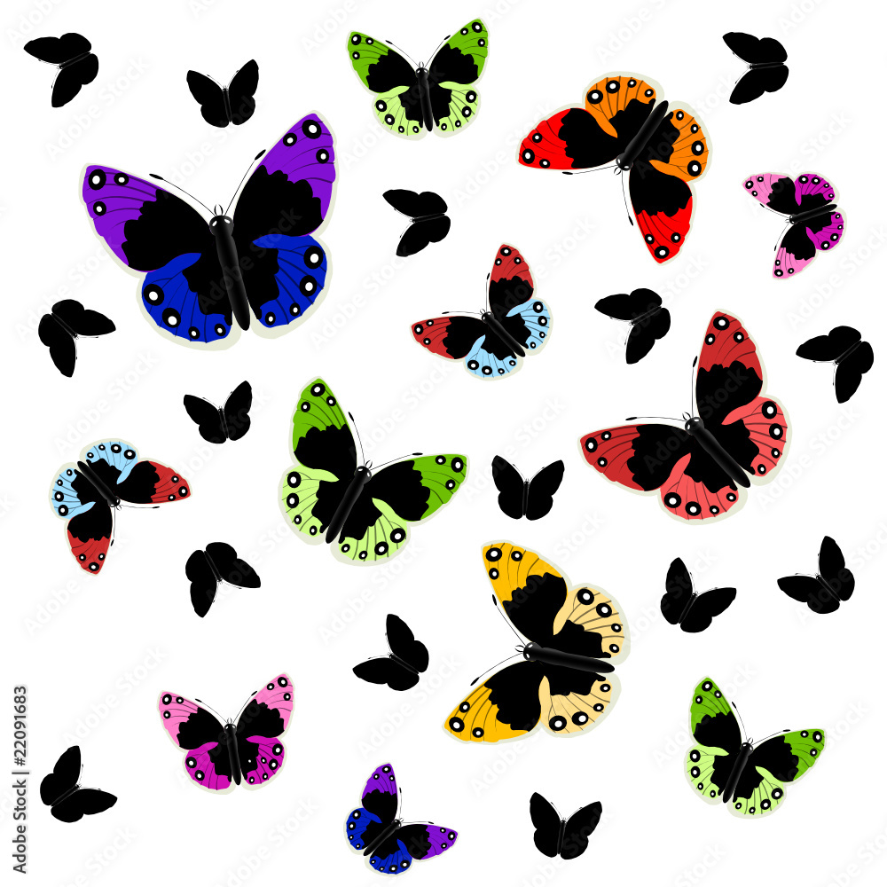Obraz premium butterflies