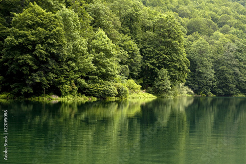 Reserve in Montenegro
