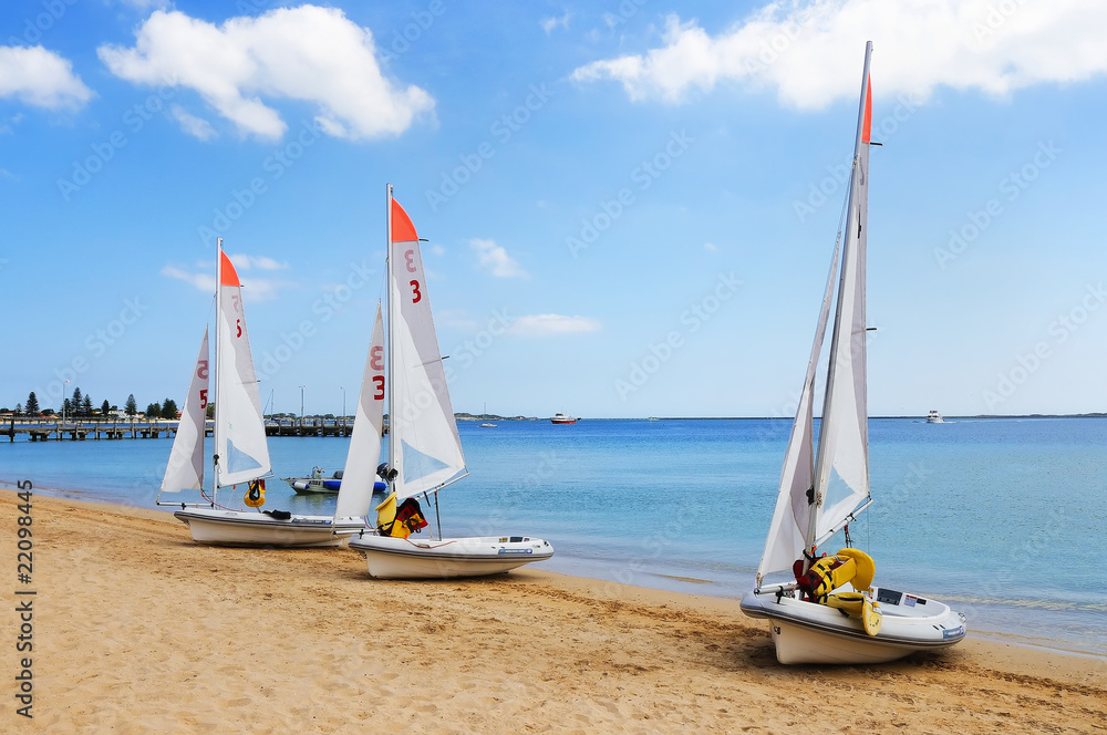 Fototapeta premium several boats with sails