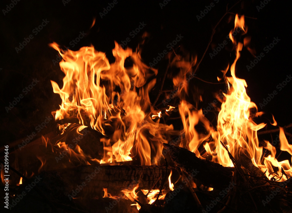 FEUER COMPANY visual data 4