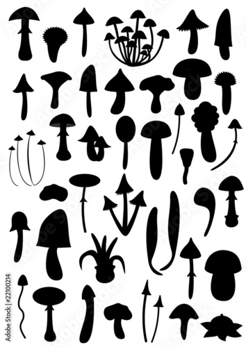 Mushrooms silhouettes big set