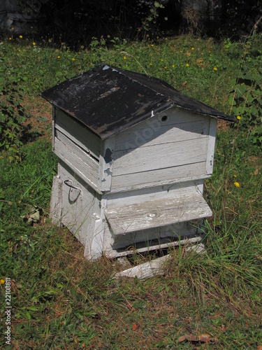 Ruches, Parc Naturel, des Volcans ; Auvergne