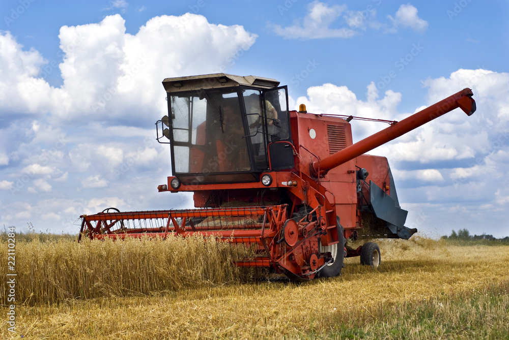 Obraz premium Kombajn kosi zboże w żniwa