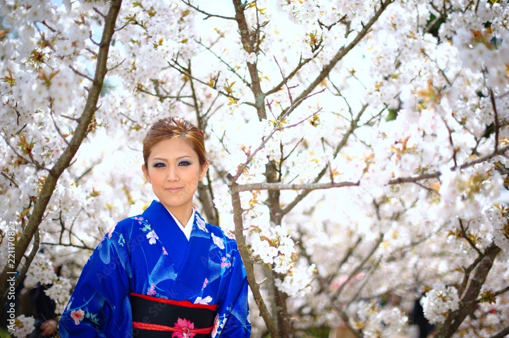 桜　着物　日本　女性