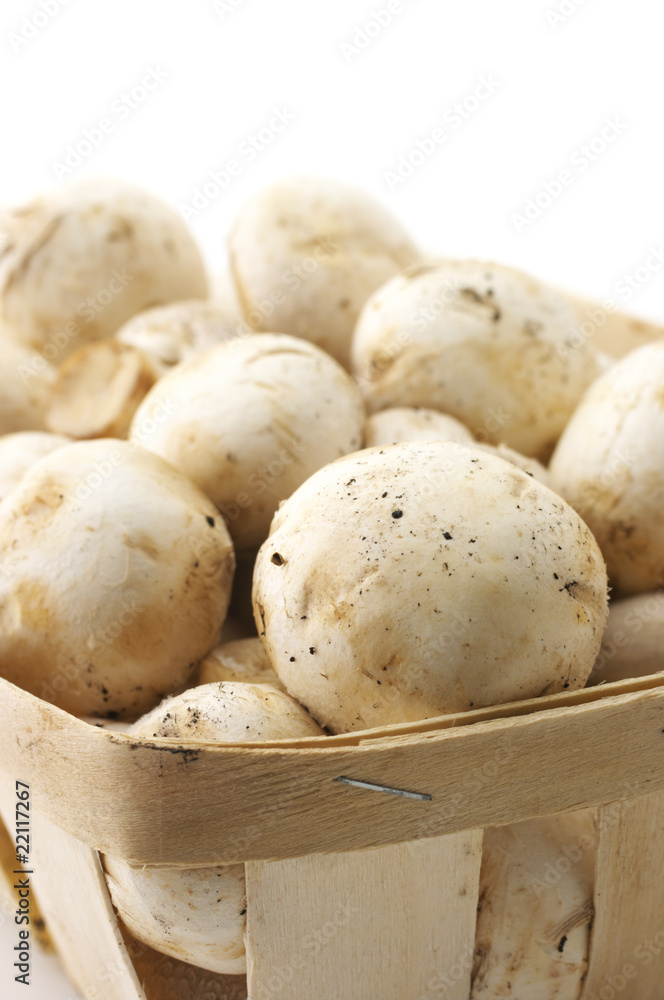 Mushrooms in basket close-up Mushrooms in basket close-up