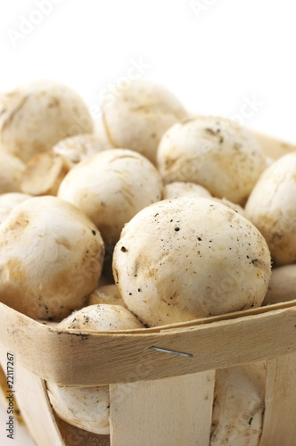 Mushrooms in basket close-up