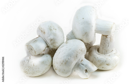 champignon frais