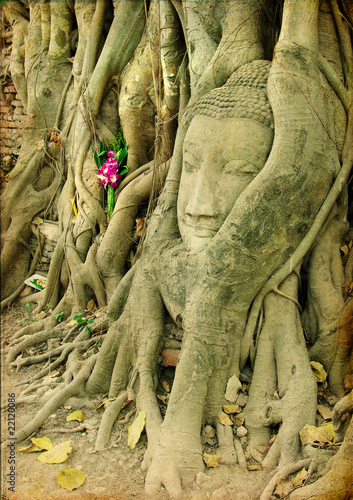 ancient Thailand - buddha face inside old tree