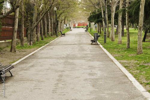 Paseo en el parque photo