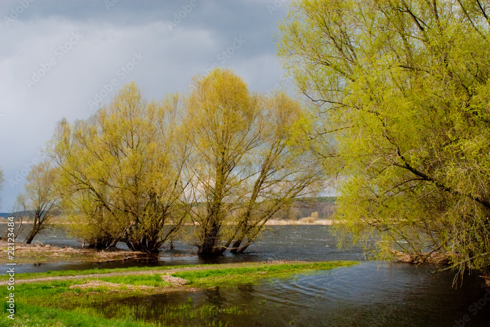 Fototapeta premium Oderbruch