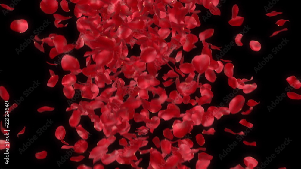 rose petals transition - alpha masked 3d animation rose petals transition - alpha masked 3d animation