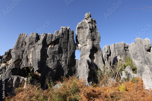 Canvas Print stone forest shilin yunnan province china