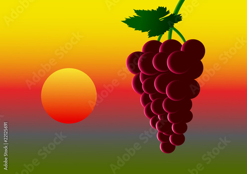 Ripe grape