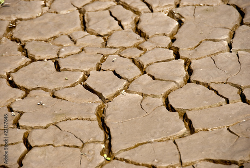 Dry earth photo