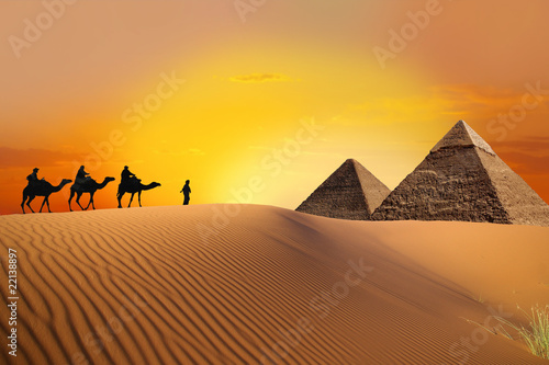 Pyramid  camel and sunset