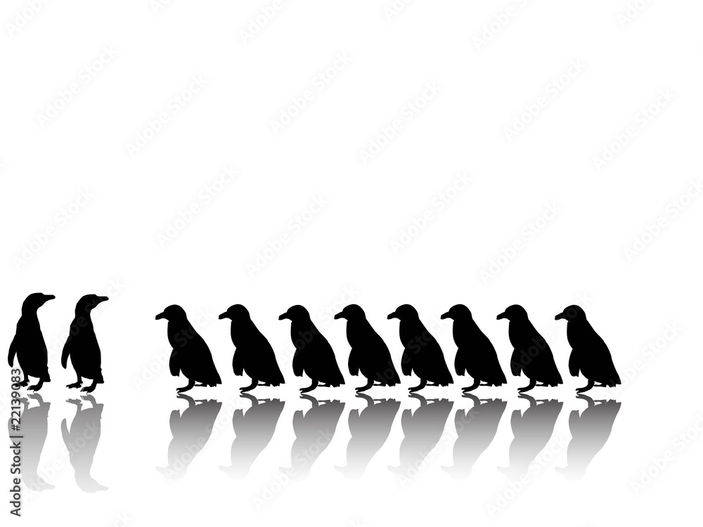 Obraz premium Pinguinreihe mit Spiegelungen
