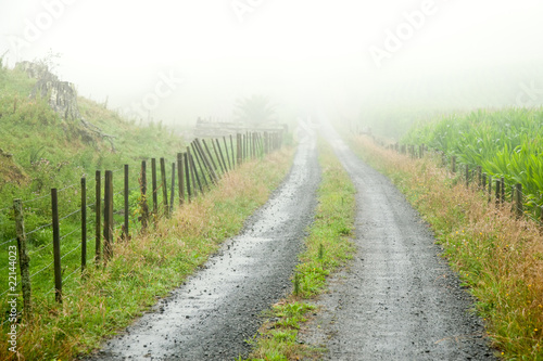 Misty road