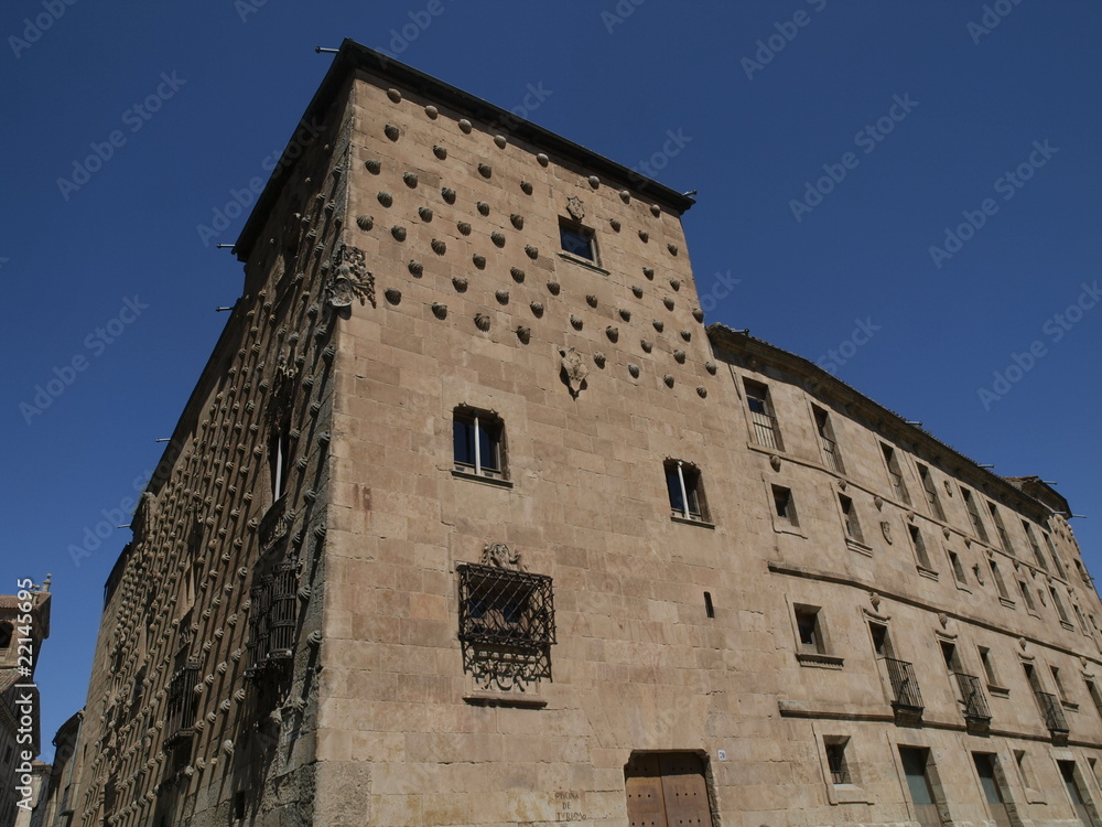 Casa de las Conchas en Salamanca