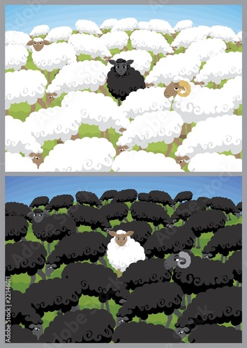 Black Sheep